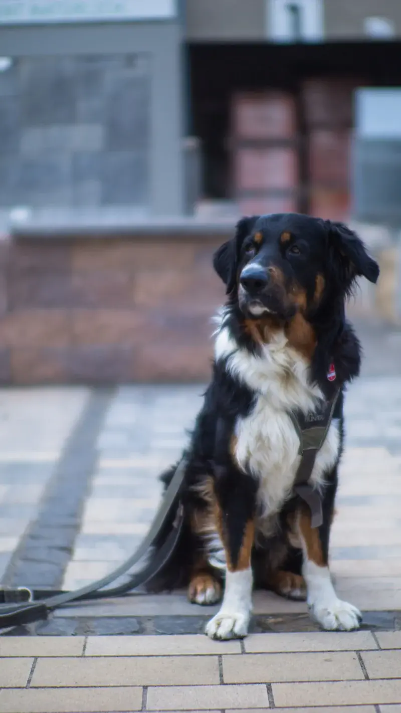 Tiefbau Drainage Rohre Kassel